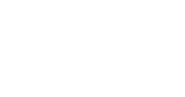 Leonard Park Wines logo